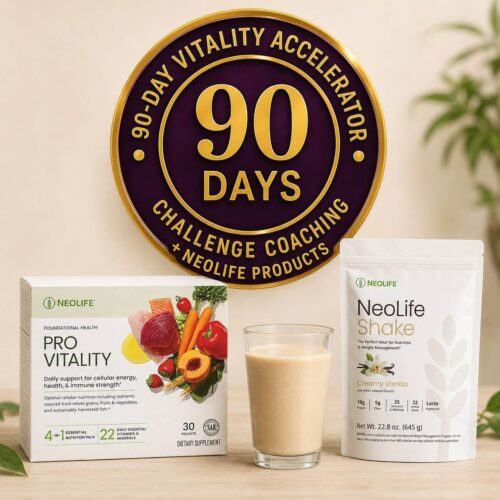 90-Day Accelerator Challenge-service+products-full program